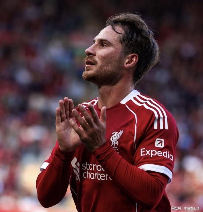 组成叹息之墙梅西世界杯卫冕希望暴涨pg模拟器电脑版阿根廷队超级6中场